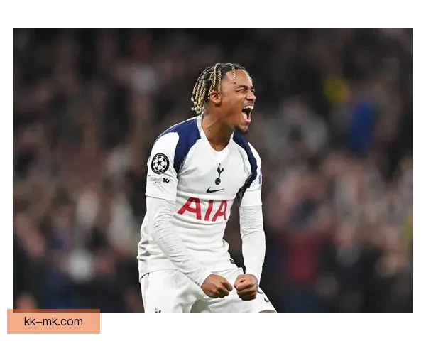 热刺重磅引援范德芬加盟球队助力新赛季冲击荣誉